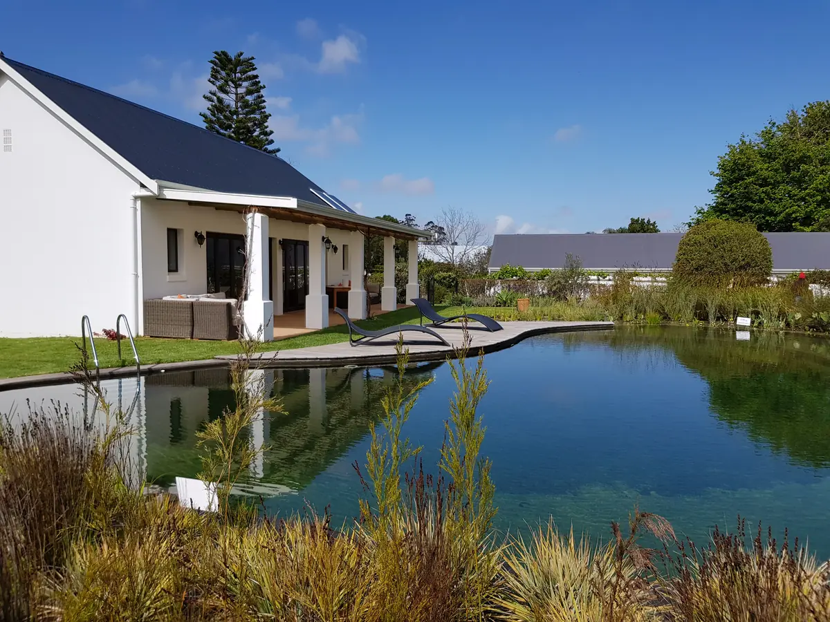 Natural swimming pool — EcoPools Cape Town partner project